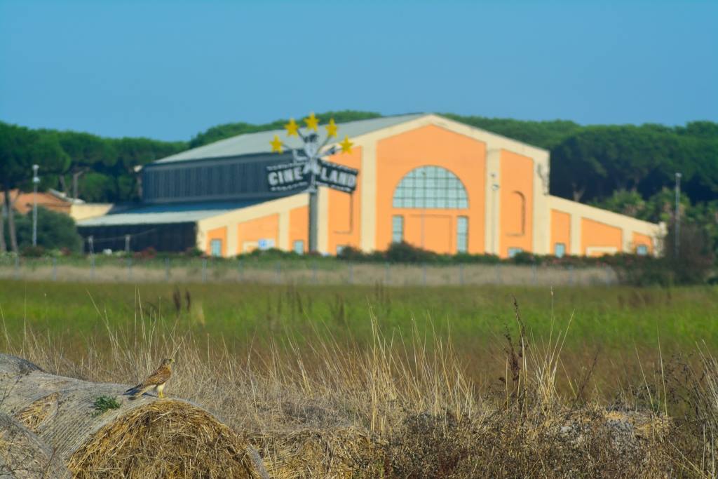 Che cosa chiamiamo davvero natura?